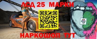 индика Камышлов