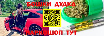 индика Камышлов
