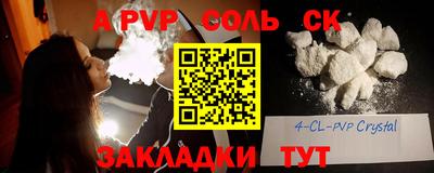 индика Камышлов