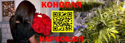 индика Камышлов
