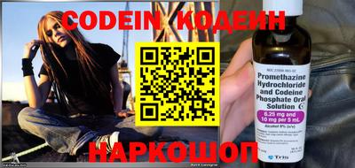 индика Камышлов