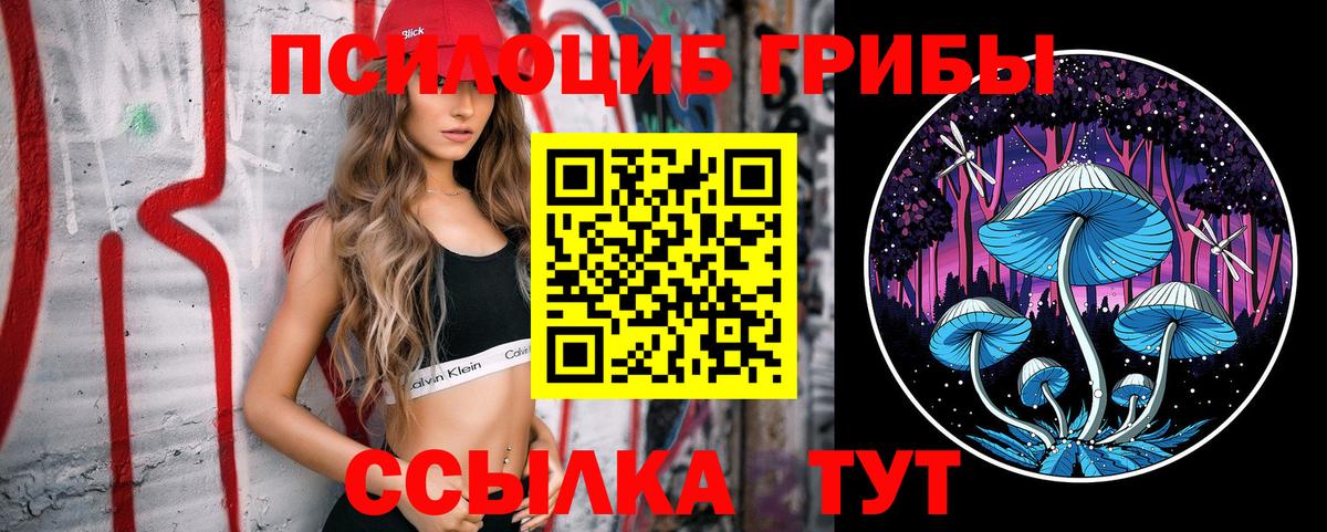 Псилоцибиновые грибы мицелий Биробиджан