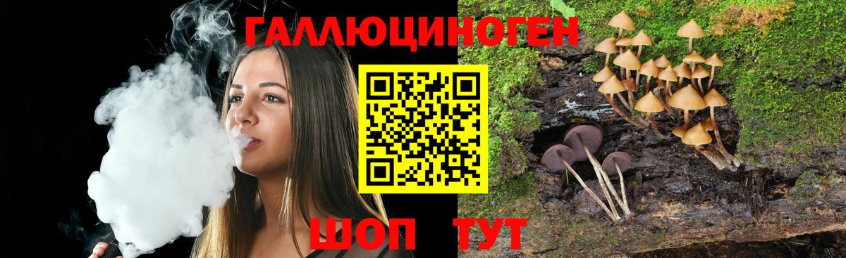 Биробиджан  Галлюциногенные грибы Magic Shrooms  Псилоцибиновые грибы Magic Shrooms  Вход с VPN 